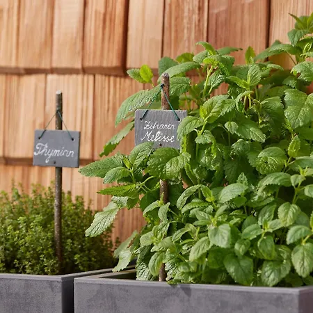 Salzberg Hideaway - Adults Only Apartman *